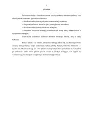 Įmonių lyderių rinkodaros politika 3 puslapis