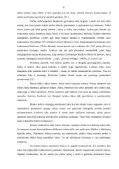 Įmonių lyderių rinkodaros politika 8 puslapis