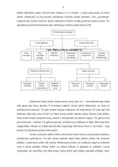Įmonių lyderių rinkodaros politika 9 puslapis
