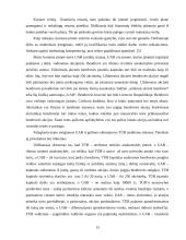 Įmonių organizavimas ir valdymas: UAB "Dviračiai" 13 puslapis
