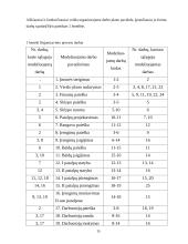 Įmonių organizavimas ir valdymas: UAB "Dviračiai" 15 puslapis