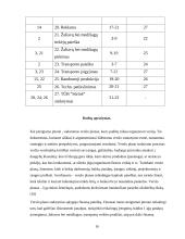 Įmonių organizavimas ir valdymas: UAB "Dviračiai" 16 puslapis