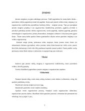Įmonių organizavimas ir valdymas: UAB "Dviračiai" 3 puslapis