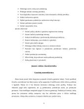 Įmonių organizavimas ir valdymas: UAB "Dviračiai" 6 puslapis