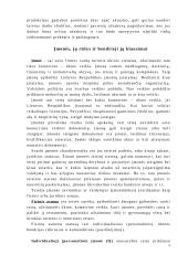 Įmonių tipai 4 puslapis