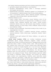 Įmonių tipai 6 puslapis