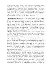 Įmonių tipai 7 puslapis