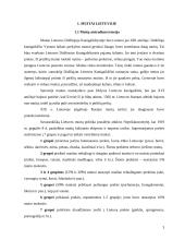 Importuojamų prekių muitinės vertės nustatymo metodų taikymas Lietuvoje 3 puslapis