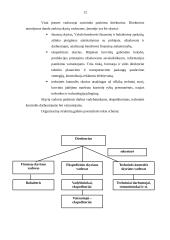 Individualios įmonės steigimas ir valdymas 11 puslapis