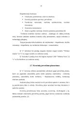 Individualios įmonės steigimas ir valdymas 13 puslapis