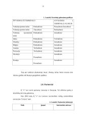 Individualios įmonės steigimas ir valdymas 14 puslapis