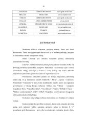 Individualios įmonės steigimas ir valdymas 15 puslapis