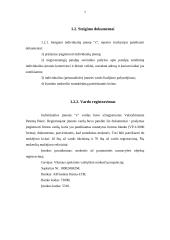 Individualios įmonės steigimas ir valdymas 6 puslapis