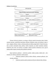 Infliacija, jos priežastys, antiinfliacinė politika 13 puslapis