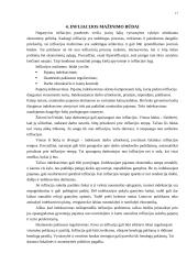 Infliacijos įtaka šalies ekonominiam vystymuisi 17 puslapis