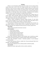 Infliacijos įtaka šalies ekonominiam vystymuisi 3 puslapis