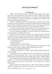 Infliacijos įtaka šalies ekonominiam vystymuisi 4 puslapis