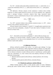 Infliacijos įtaka šalies ekonominiam vystymuisi 9 puslapis