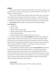 Infliacija ir jos priežastys 2 puslapis