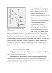 Infliacija ir jos priežastys 11 puslapis