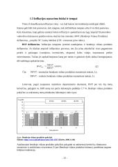 Infliacija ir jos priežastys 12 puslapis