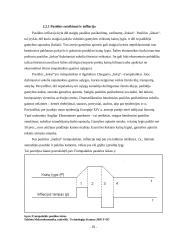 Infliacija ir jos priežastys 19 puslapis