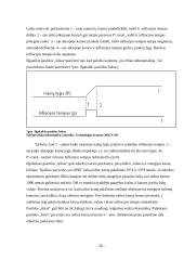 Infliacija ir jos priežastys 20 puslapis