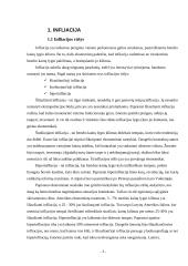 Infliacija ir jos priežastys 3 puslapis