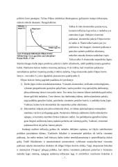 Infliacija ir jos priežastys 7 puslapis