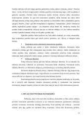 Infliacija, jos priežastys, rūšys, matavimai ir sprendimo būdai 13 puslapis
