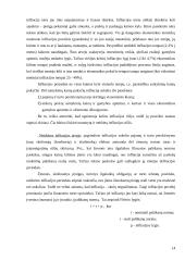 Infliacija, jos priežastys, rūšys, matavimai ir sprendimo būdai 14 puslapis
