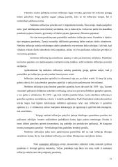 Infliacija, jos priežastys, rūšys, matavimai ir sprendimo būdai 15 puslapis