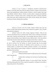 Infliacija, jos priežastys, rūšys, matavimai ir sprendimo būdai 4 puslapis