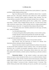 Infliacija, jos priežastys, rūšys, matavimai ir sprendimo būdai 5 puslapis