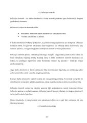 Infliacija: priežastys ir pasekmės 13 puslapis