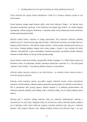 Infliacija: priežastys ir pasekmės 17 puslapis