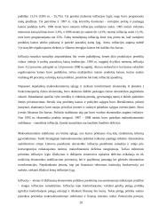 Infliacija: priežastys ir pasekmės 20 puslapis
