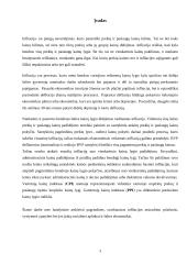 Infliacija: priežastys ir pasekmės 3 puslapis