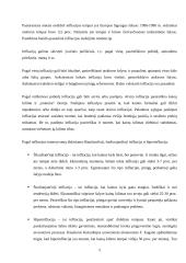 Infliacija: priežastys ir pasekmės 5 puslapis