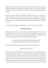 Infliacija: priežastys ir pasekmės 8 puslapis