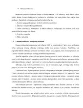 Infliacijos priežastys ir pasekmės Lietuvoje 17 puslapis