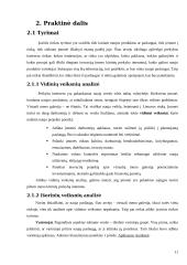 Inovacinis projektas: virtuali meno galerija 11 puslapis