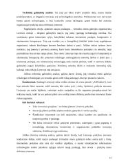Inovacinis projektas: virtuali meno galerija 13 puslapis