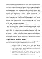 Inovacinis projektas: virtuali meno galerija 16 puslapis