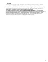 Integruota duomenų perdavimo sistema 3 puslapis