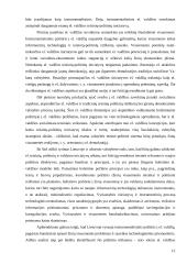 Internetas ir demokratija 12 puslapis
