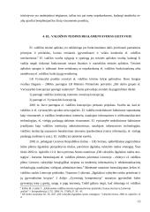 Internetas ir demokratija 13 puslapis