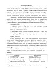 Internetas ir demokratija 17 puslapis