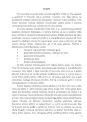 Internetas ir demokratija 3 puslapis