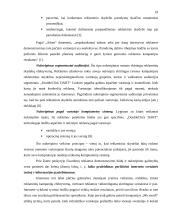 Internetinė reklama Lietuvoje 18 puslapis
